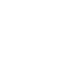 Banat Aviation